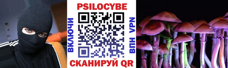 Галлюциногенные грибы Psilocybine cubensis  Купить  Медынь 