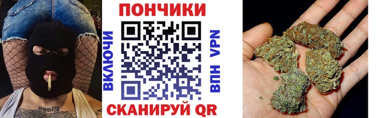 Купить где  Медынь  Каннабис индика 